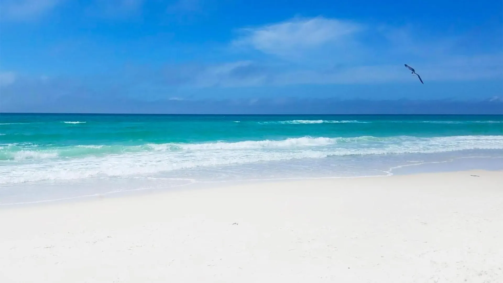 Twin Palms 804 0*, Panama City Beach United States